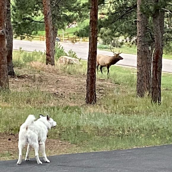 Meet your Posher, Jennifer - Picture 12 of 16